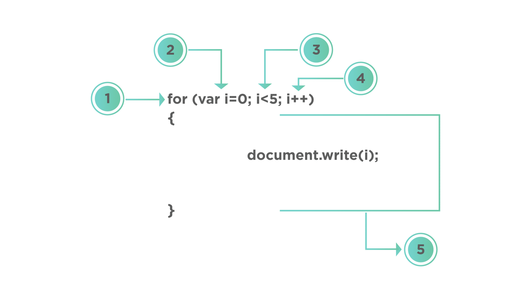 JavaScript Loop While, DoWhile, For and ForIn Loops in JavaScript